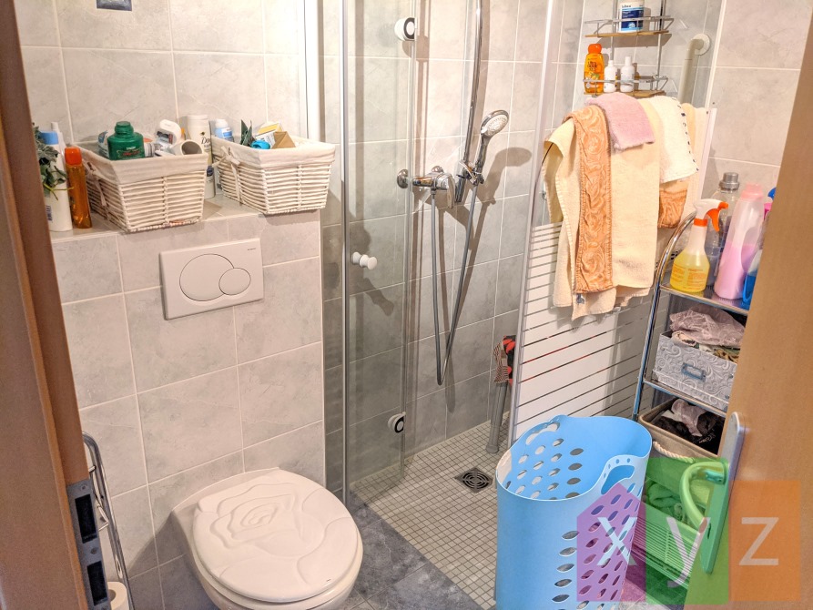 La salle-de-douches comprenant un WC et une colonne de lavage - Vue 1