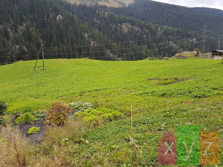 Jardin de 48 m2 non-attenant à la maison