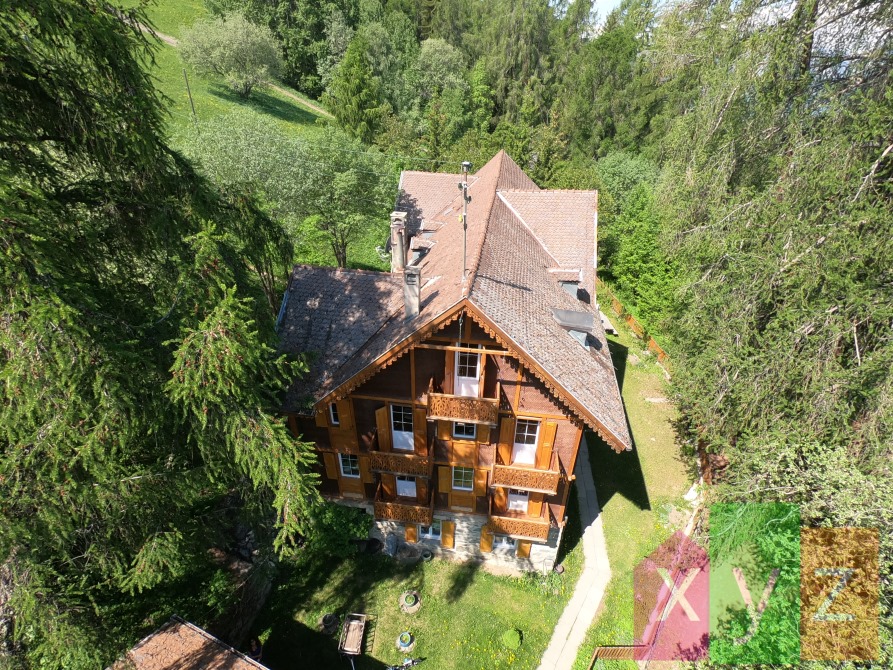 Vue aérienne de la maison - Depuis le Nord-Est