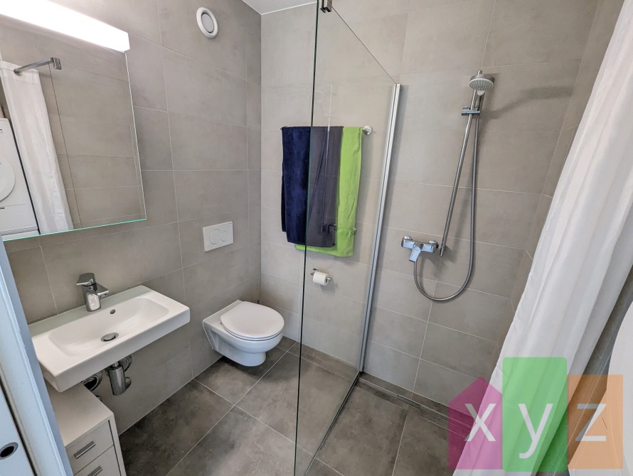 Salle-de-douches moderne avec douche à l'italienne